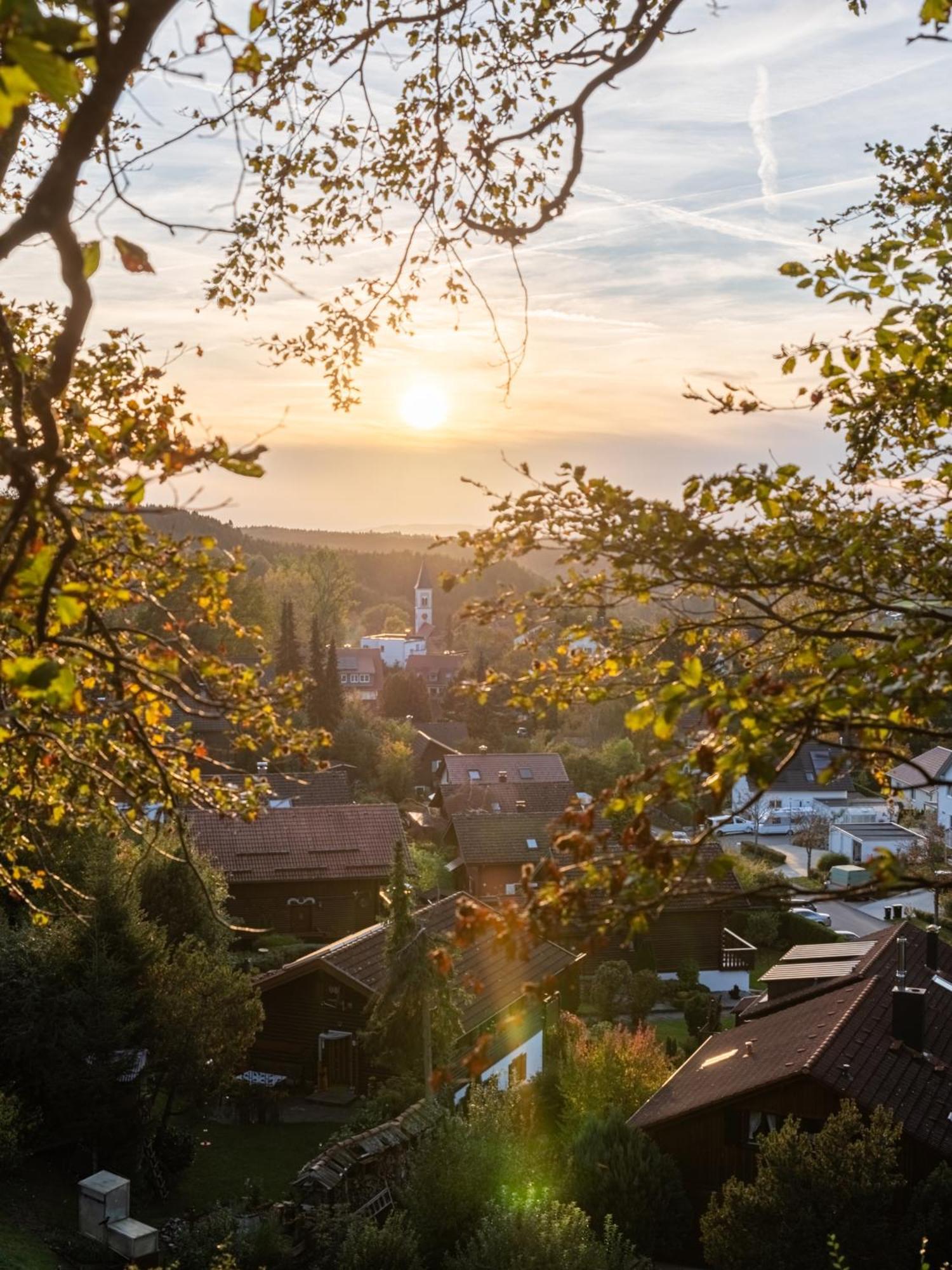 Ferienwohnung S'Kammerl Wolfegg ภายนอก รูปภาพ